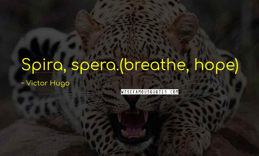 Victor Hugo Quotes: Spira, spera.(breathe, hope)