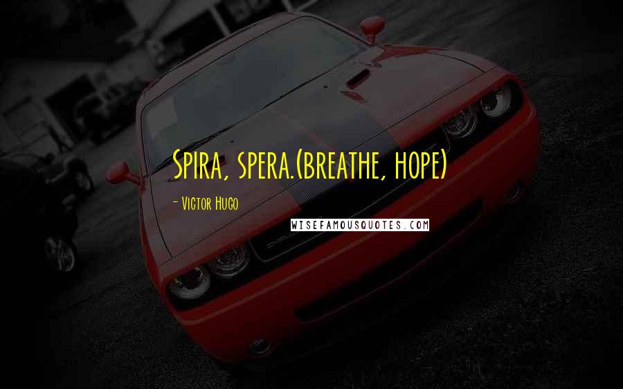 Victor Hugo Quotes: Spira, spera.(breathe, hope)