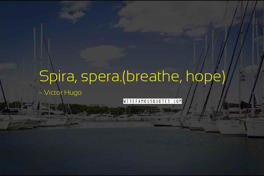 Victor Hugo Quotes: Spira, spera.(breathe, hope)
