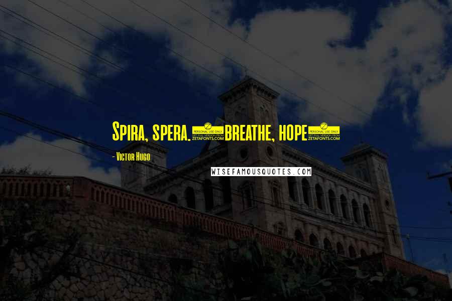 Victor Hugo Quotes: Spira, spera.(breathe, hope)