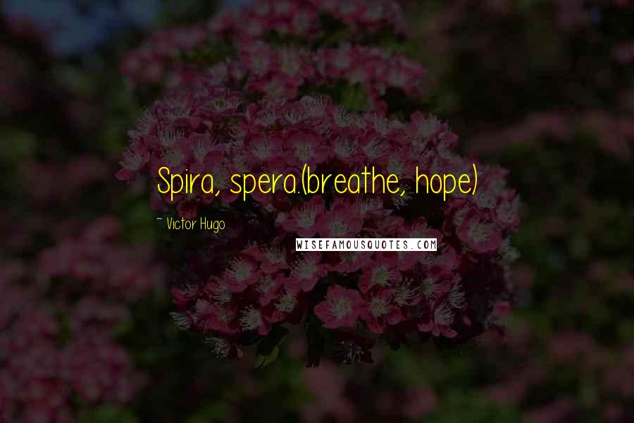 Victor Hugo Quotes: Spira, spera.(breathe, hope)