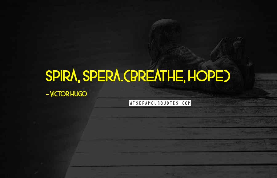 Victor Hugo Quotes: Spira, spera.(breathe, hope)