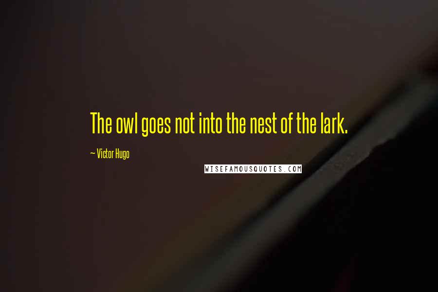 Victor Hugo Quotes: The owl goes not into the nest of the lark.