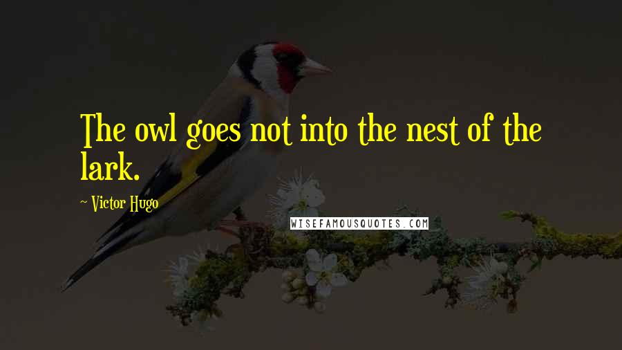 Victor Hugo Quotes: The owl goes not into the nest of the lark.
