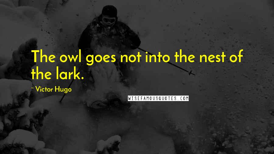 Victor Hugo Quotes: The owl goes not into the nest of the lark.