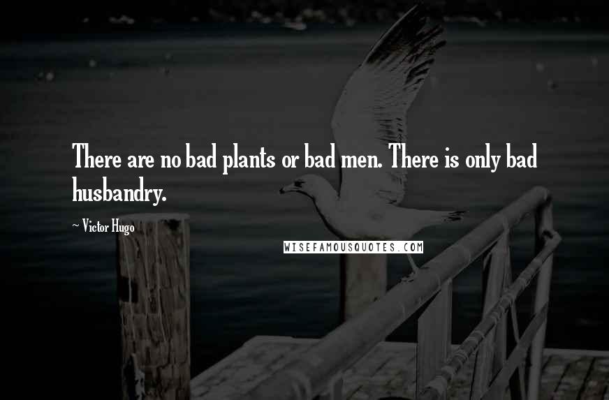 Victor Hugo Quotes: There are no bad plants or bad men. There is only bad husbandry.