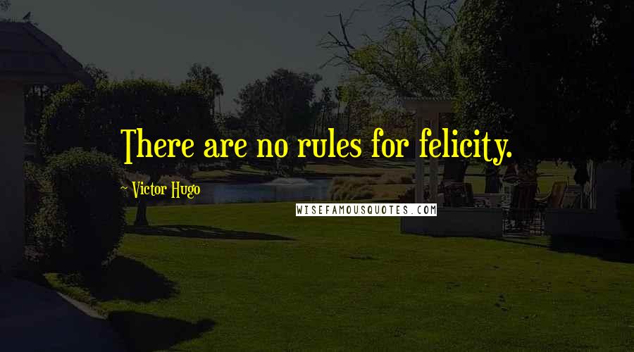 Victor Hugo Quotes: There are no rules for felicity.