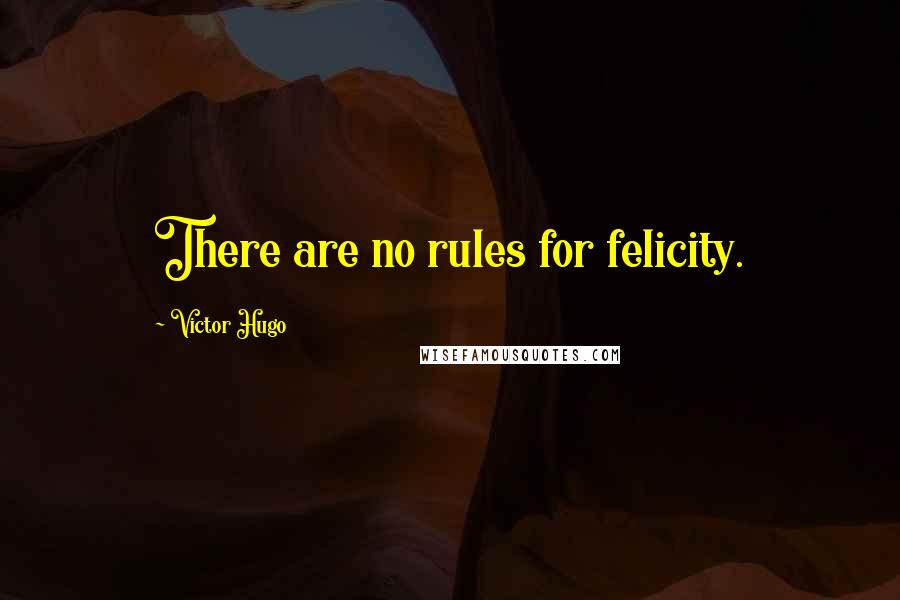 Victor Hugo Quotes: There are no rules for felicity.