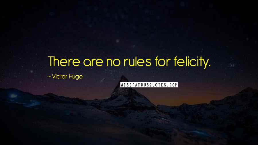 Victor Hugo Quotes: There are no rules for felicity.