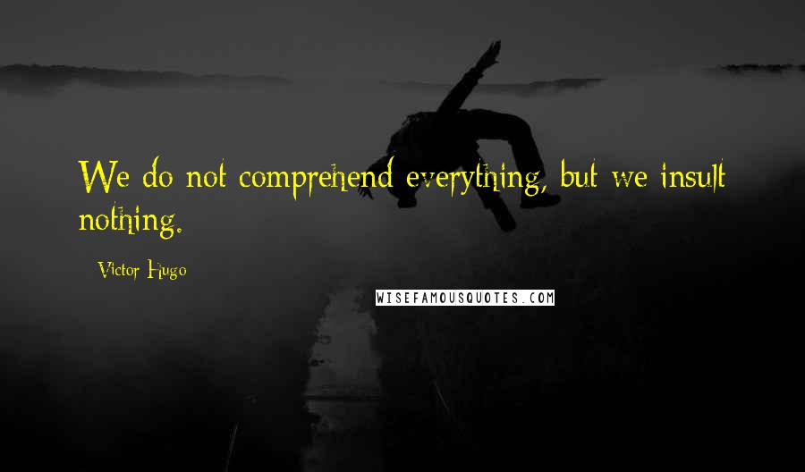 Victor Hugo Quotes: We do not comprehend everything, but we insult nothing.