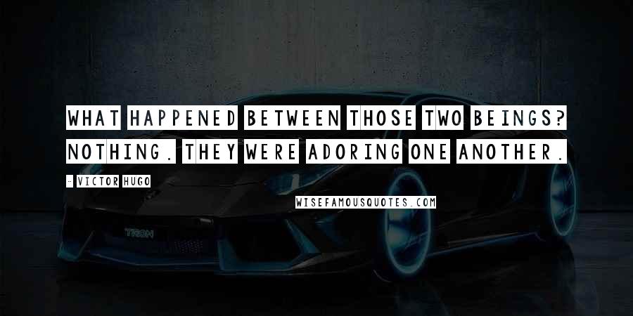 Victor Hugo Quotes: What happened between those two beings? Nothing. They were adoring one another.