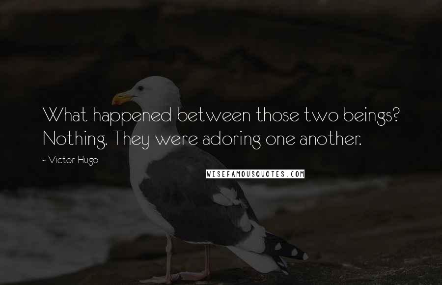 Victor Hugo Quotes: What happened between those two beings? Nothing. They were adoring one another.