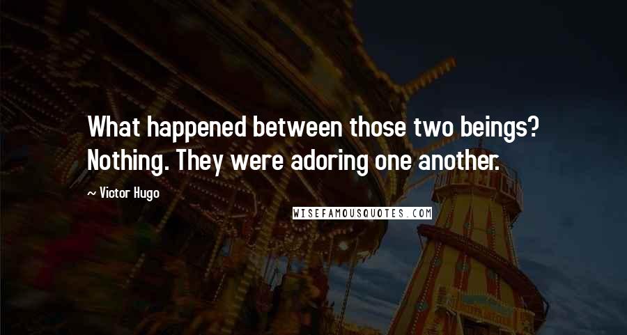 Victor Hugo Quotes: What happened between those two beings? Nothing. They were adoring one another.