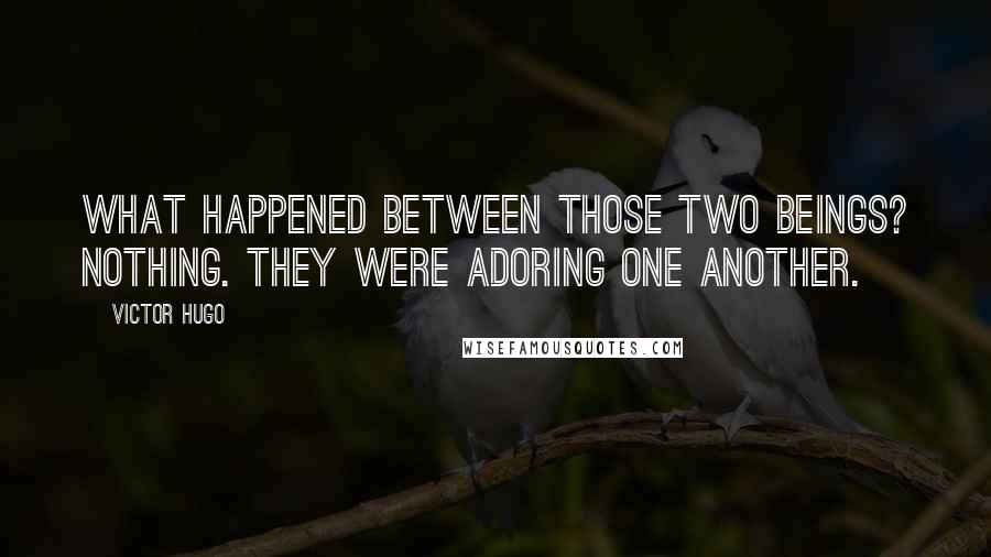 Victor Hugo Quotes: What happened between those two beings? Nothing. They were adoring one another.