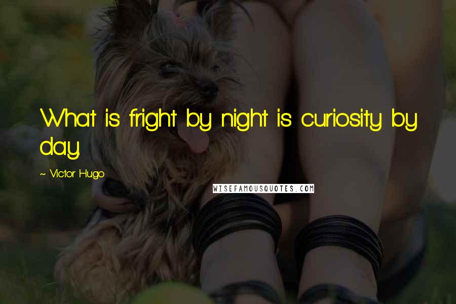 Victor Hugo Quotes: What is fright by night is curiosity by day.
