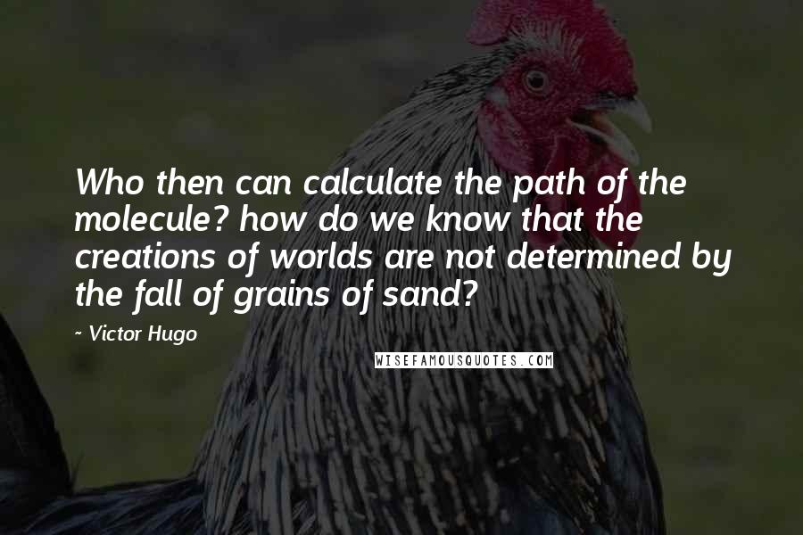 Victor Hugo Quotes: Who then can calculate the path of the molecule? how do we know that the creations of worlds are not determined by the fall of grains of sand?