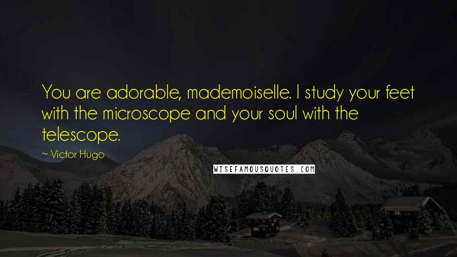 Victor Hugo Quotes: You are adorable, mademoiselle. I study your feet with the microscope and your soul with the telescope.
