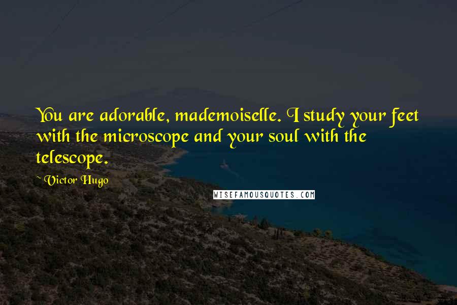 Victor Hugo Quotes: You are adorable, mademoiselle. I study your feet with the microscope and your soul with the telescope.