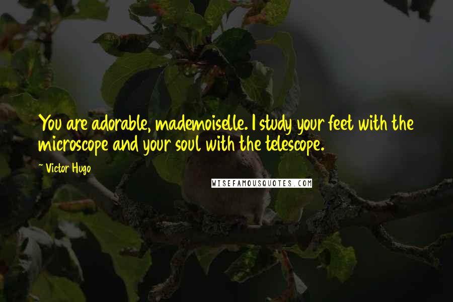 Victor Hugo Quotes: You are adorable, mademoiselle. I study your feet with the microscope and your soul with the telescope.