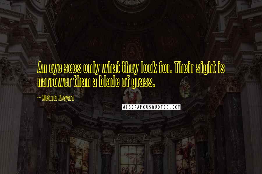 Victoria Aveyard Quotes: An eye sees only what they look for. Their sight is narrower than a blade of grass.