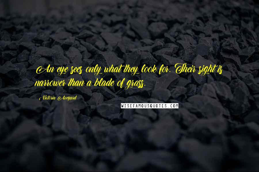 Victoria Aveyard Quotes: An eye sees only what they look for. Their sight is narrower than a blade of grass.