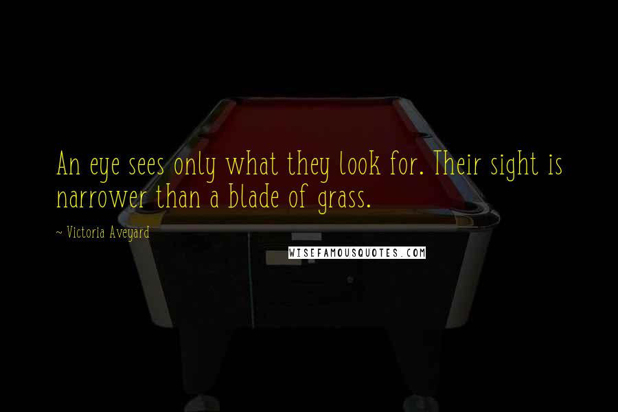 Victoria Aveyard Quotes: An eye sees only what they look for. Their sight is narrower than a blade of grass.