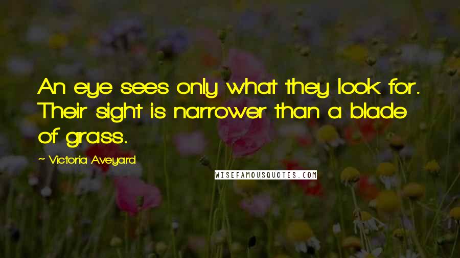 Victoria Aveyard Quotes: An eye sees only what they look for. Their sight is narrower than a blade of grass.