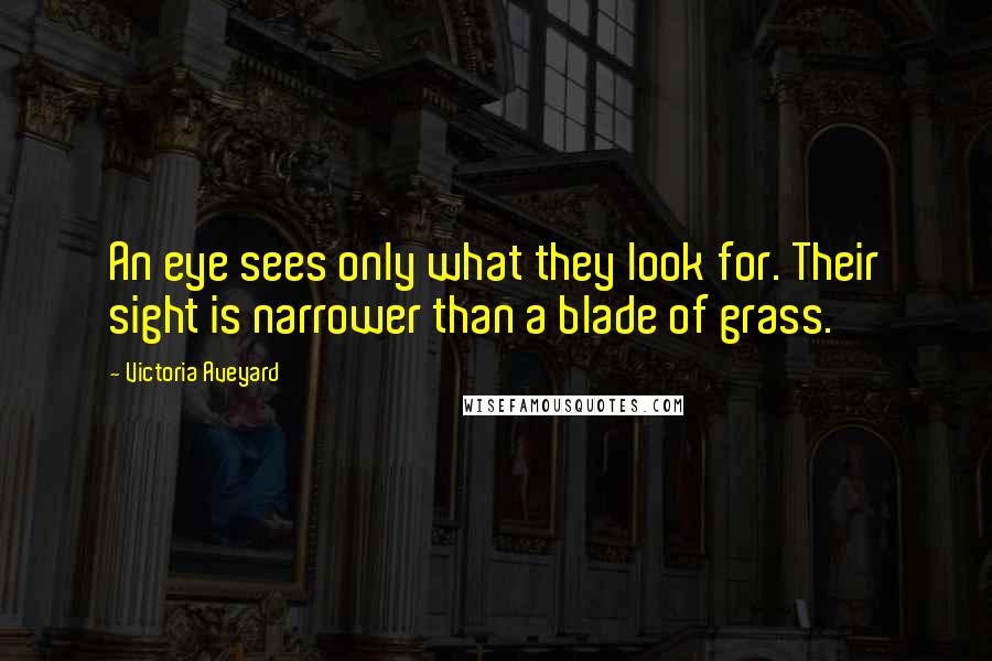 Victoria Aveyard Quotes: An eye sees only what they look for. Their sight is narrower than a blade of grass.