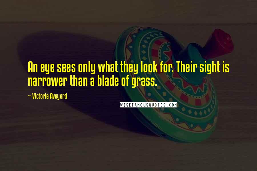 Victoria Aveyard Quotes: An eye sees only what they look for. Their sight is narrower than a blade of grass.