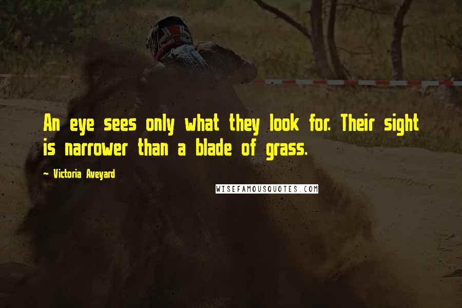 Victoria Aveyard Quotes: An eye sees only what they look for. Their sight is narrower than a blade of grass.