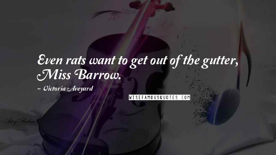 Victoria Aveyard Quotes: Even rats want to get out of the gutter, Miss Barrow.