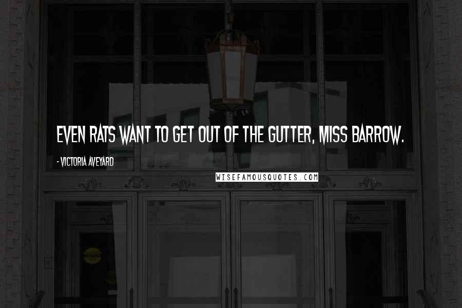 Victoria Aveyard Quotes: Even rats want to get out of the gutter, Miss Barrow.