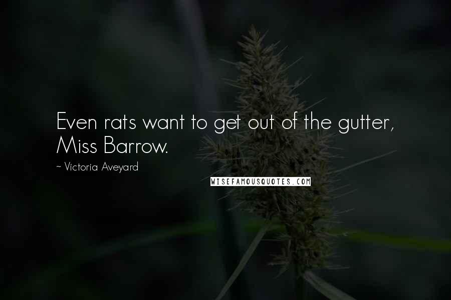 Victoria Aveyard Quotes: Even rats want to get out of the gutter, Miss Barrow.