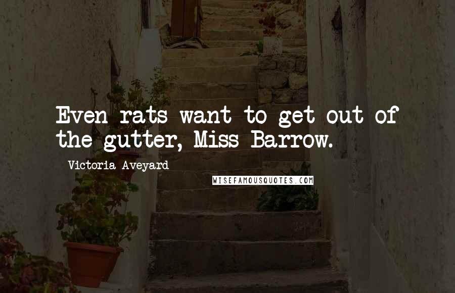 Victoria Aveyard Quotes: Even rats want to get out of the gutter, Miss Barrow.