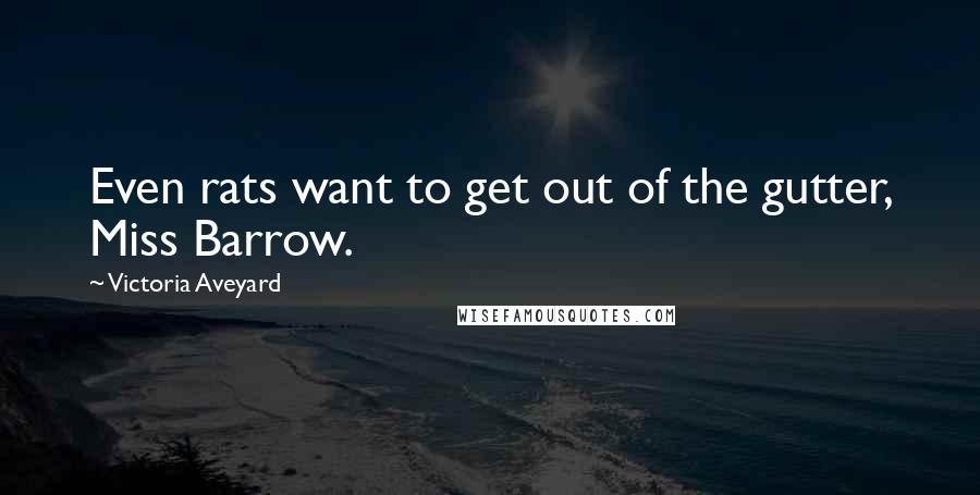 Victoria Aveyard Quotes: Even rats want to get out of the gutter, Miss Barrow.