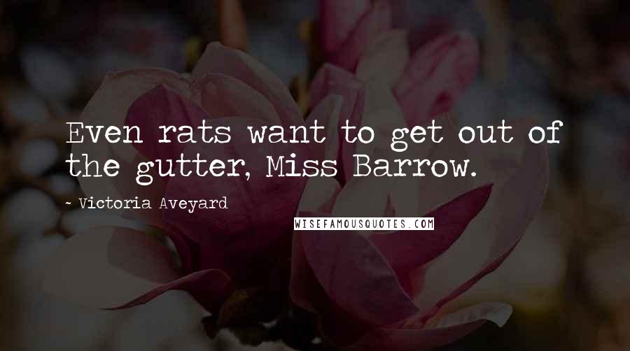 Victoria Aveyard Quotes: Even rats want to get out of the gutter, Miss Barrow.