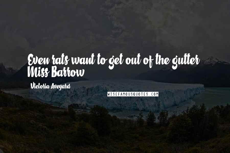 Victoria Aveyard Quotes: Even rats want to get out of the gutter, Miss Barrow.