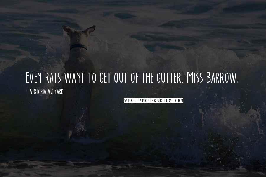Victoria Aveyard Quotes: Even rats want to get out of the gutter, Miss Barrow.