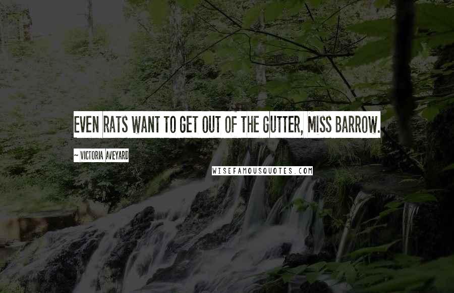 Victoria Aveyard Quotes: Even rats want to get out of the gutter, Miss Barrow.