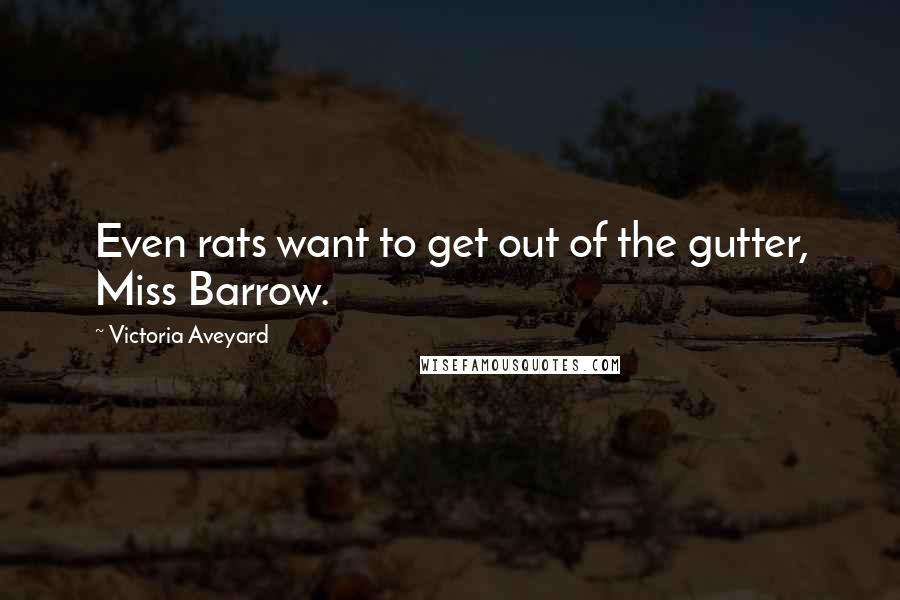 Victoria Aveyard Quotes: Even rats want to get out of the gutter, Miss Barrow.