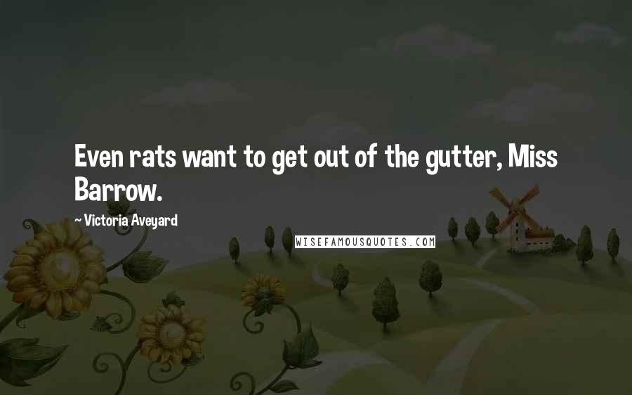 Victoria Aveyard Quotes: Even rats want to get out of the gutter, Miss Barrow.