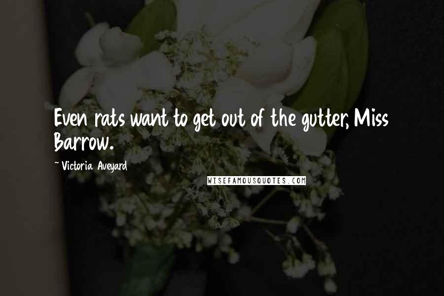 Victoria Aveyard Quotes: Even rats want to get out of the gutter, Miss Barrow.