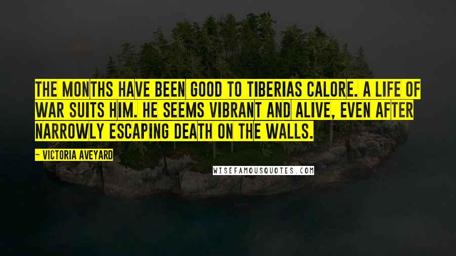 Victoria Aveyard Quotes: The months have been good to Tiberias Calore. A life of war suits him. He seems vibrant and alive, even after narrowly escaping death on the walls.