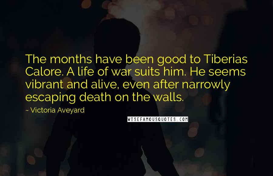 Victoria Aveyard Quotes: The months have been good to Tiberias Calore. A life of war suits him. He seems vibrant and alive, even after narrowly escaping death on the walls.