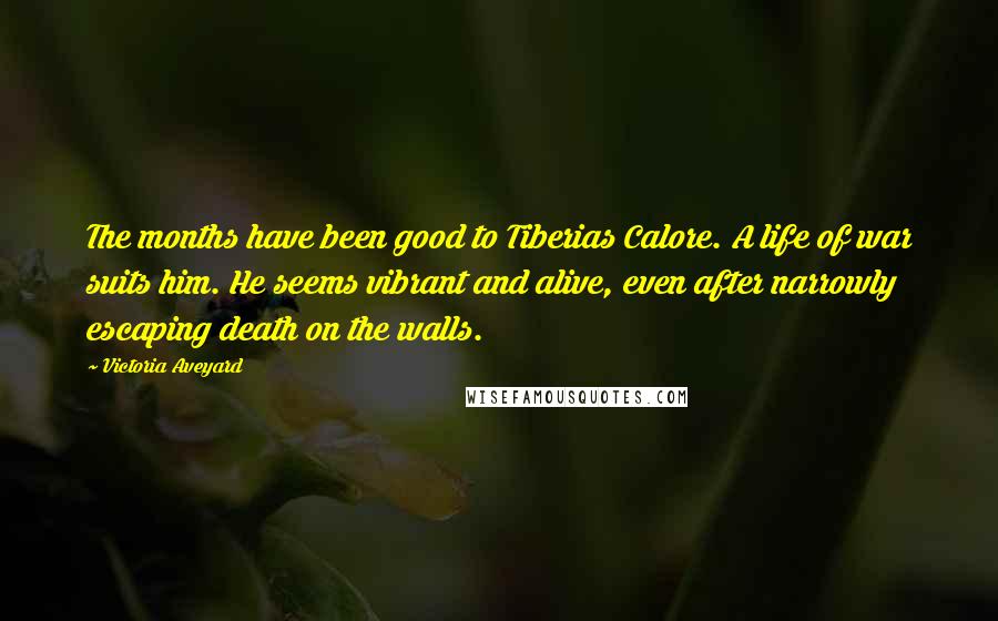 Victoria Aveyard Quotes: The months have been good to Tiberias Calore. A life of war suits him. He seems vibrant and alive, even after narrowly escaping death on the walls.