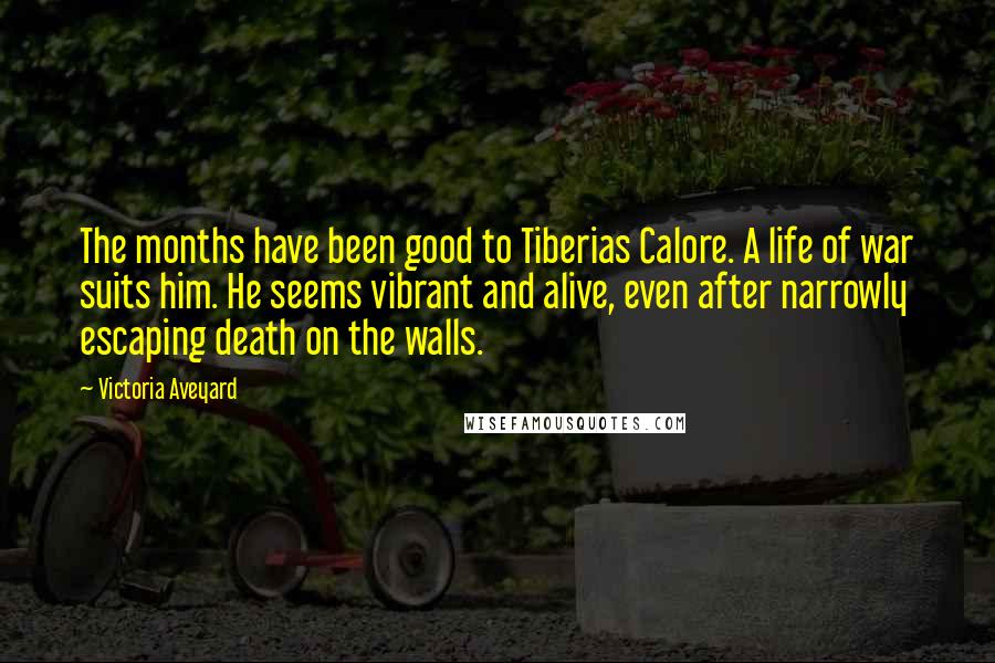 Victoria Aveyard Quotes: The months have been good to Tiberias Calore. A life of war suits him. He seems vibrant and alive, even after narrowly escaping death on the walls.