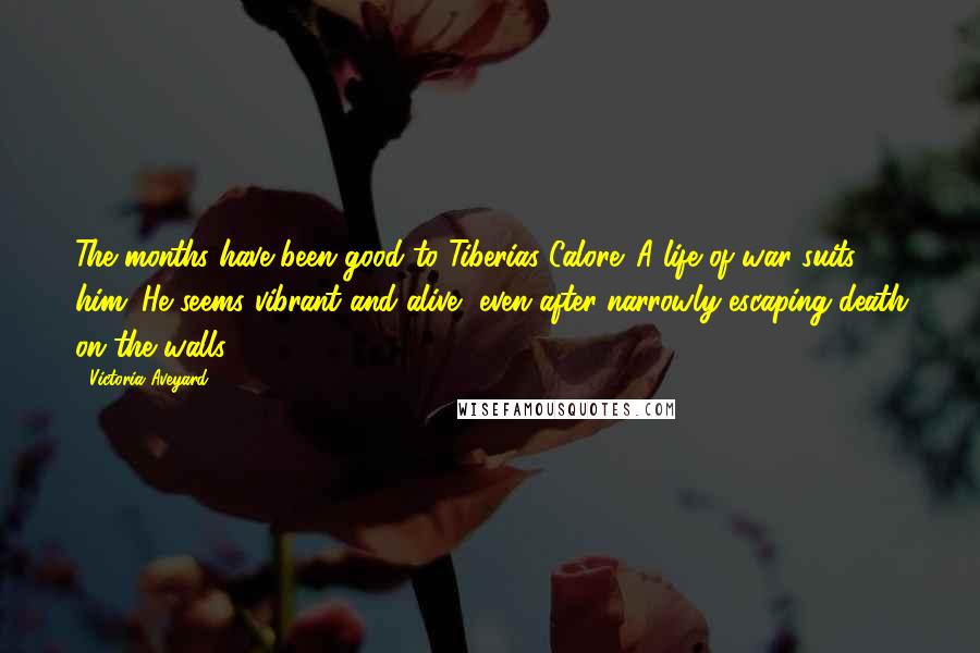 Victoria Aveyard Quotes: The months have been good to Tiberias Calore. A life of war suits him. He seems vibrant and alive, even after narrowly escaping death on the walls.