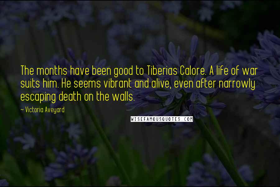 Victoria Aveyard Quotes: The months have been good to Tiberias Calore. A life of war suits him. He seems vibrant and alive, even after narrowly escaping death on the walls.