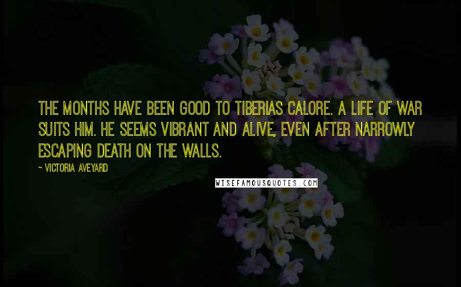 Victoria Aveyard Quotes: The months have been good to Tiberias Calore. A life of war suits him. He seems vibrant and alive, even after narrowly escaping death on the walls.