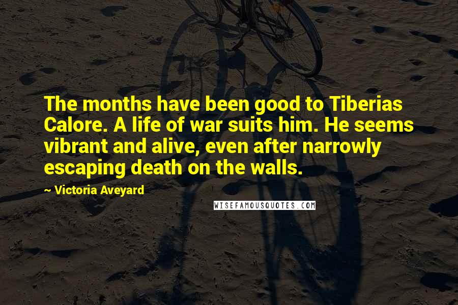 Victoria Aveyard Quotes: The months have been good to Tiberias Calore. A life of war suits him. He seems vibrant and alive, even after narrowly escaping death on the walls.